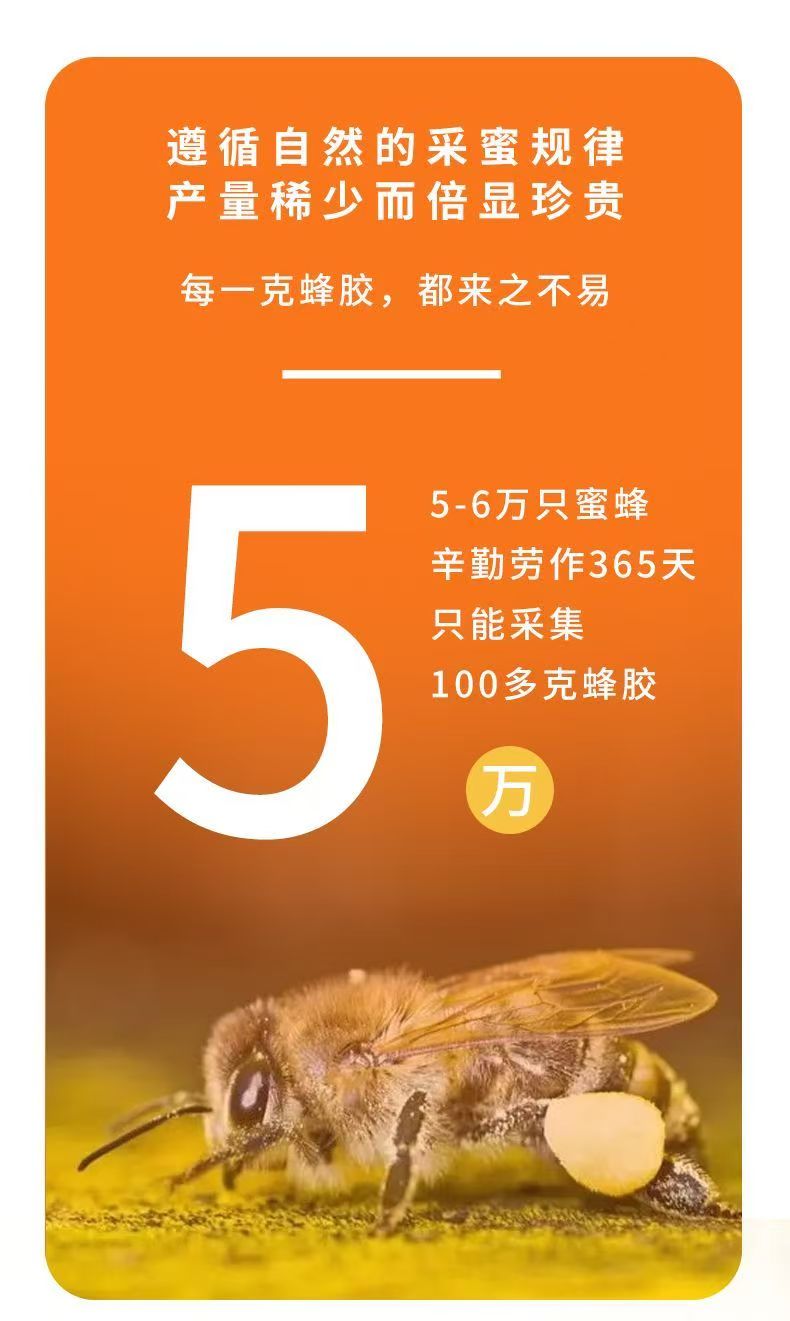 蜂胶来之不易图片.jpg